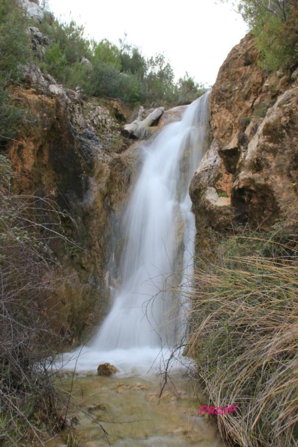 Alojamiento Aguasblanquillas Coto Rios Buitenkant foto