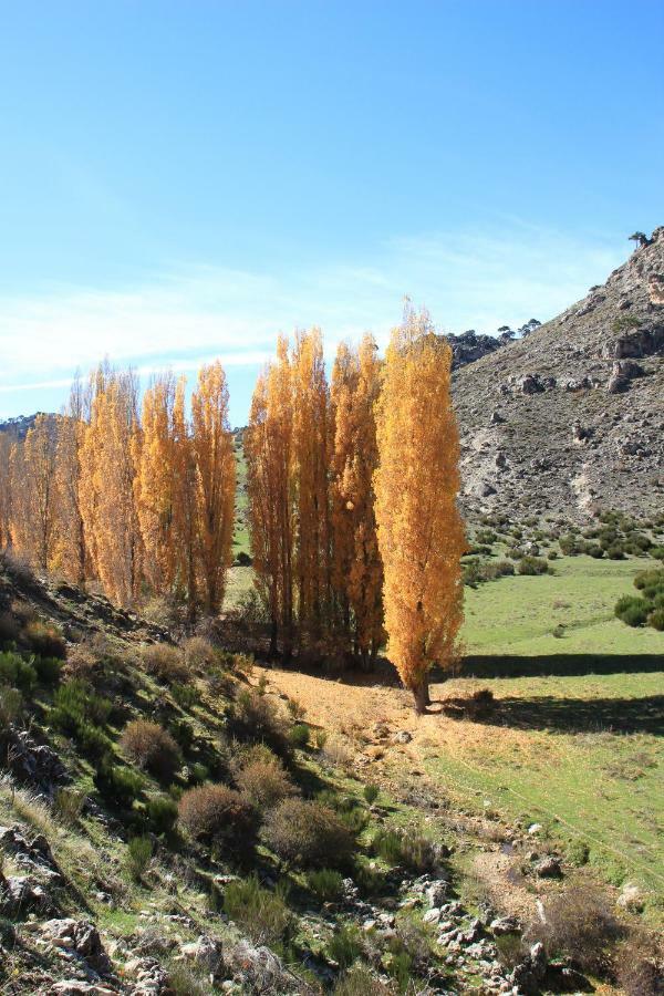 Alojamiento Aguasblanquillas Coto Rios Buitenkant foto