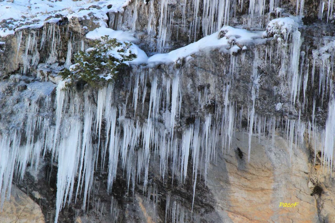 Alojamiento Aguasblanquillas Coto Rios Buitenkant foto