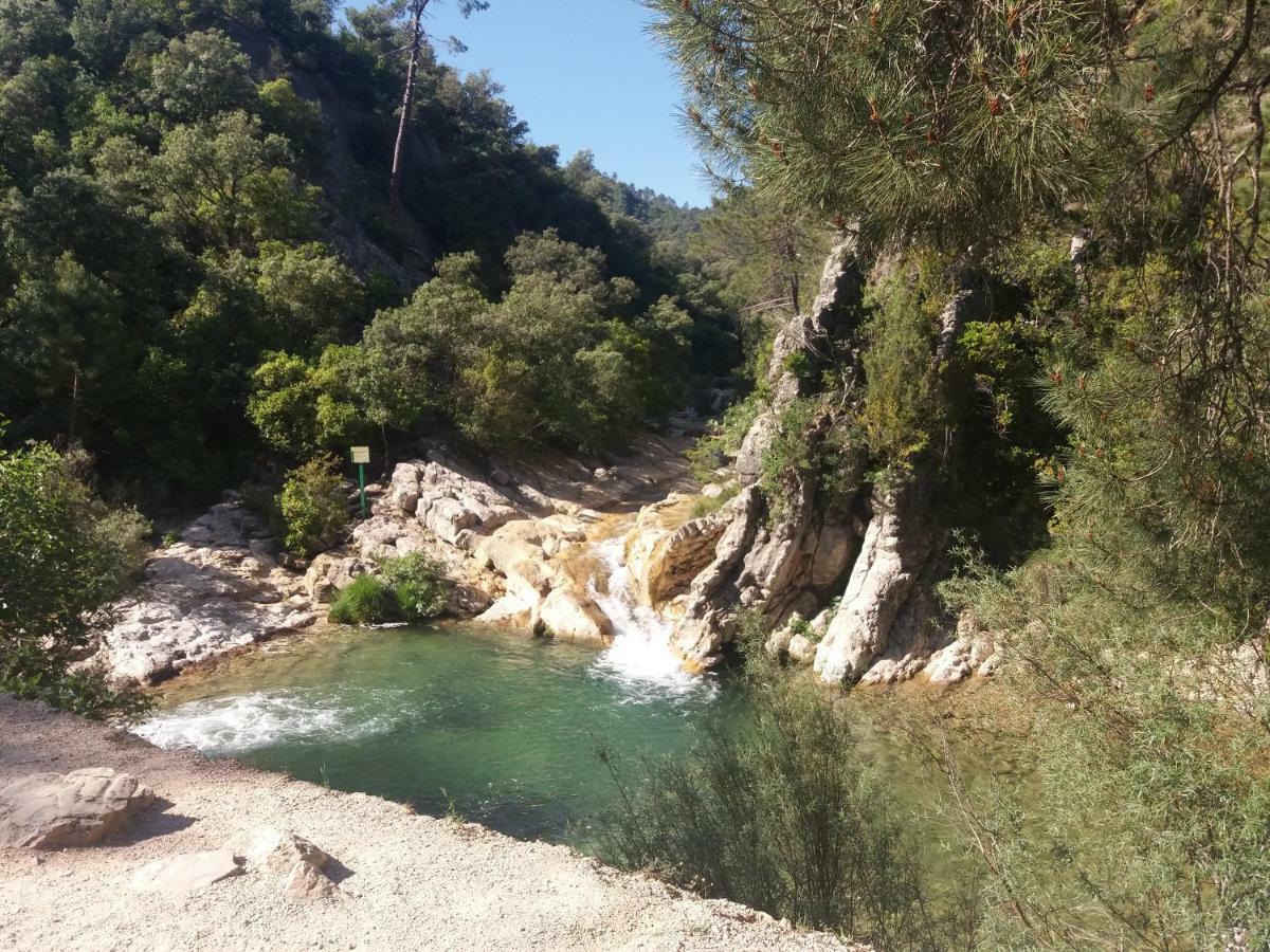 Alojamiento Aguasblanquillas Coto Rios Buitenkant foto